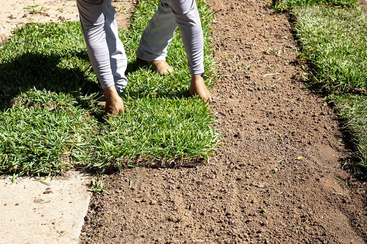 Sod Installation Daytona Beach